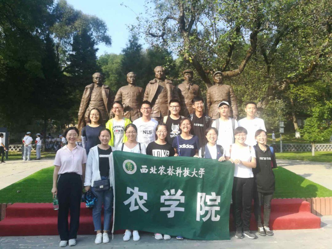 逗小猴开心系列204